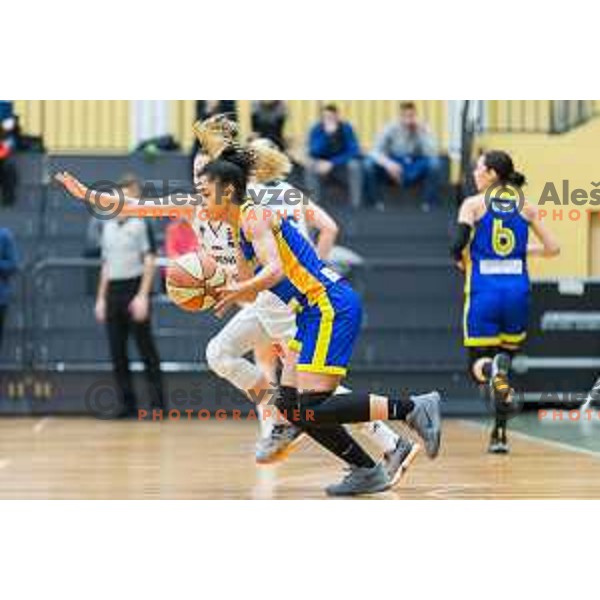 of team Romania in action during Women’s EuroBasket 2019 Qualifiers basketball match between Slovenia and Romania, played in Arena Gimnazija Celje-Center, Celje, Slovenia on February 14, 2018