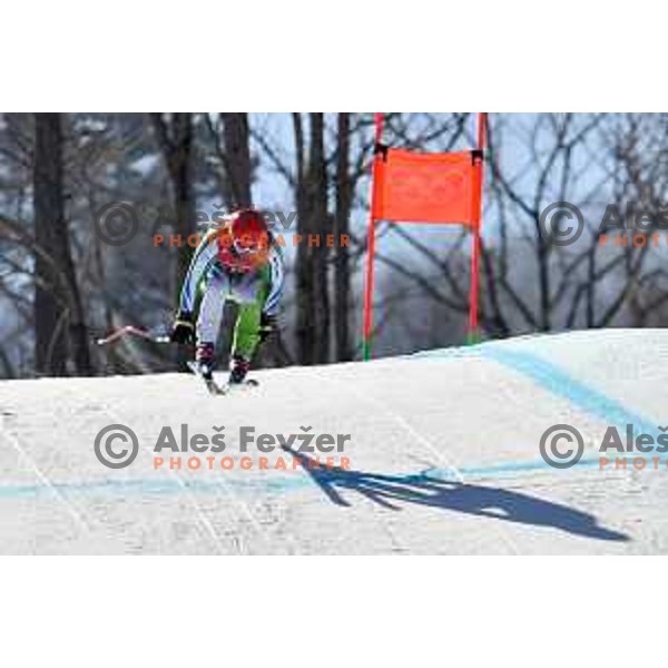 Martin Cater (SLO) skiing in Alpine Combined at Jeongseon Alpine Centre during PyeongChang 2018 Winter Olympic Games, South Korea on February 13, 2018