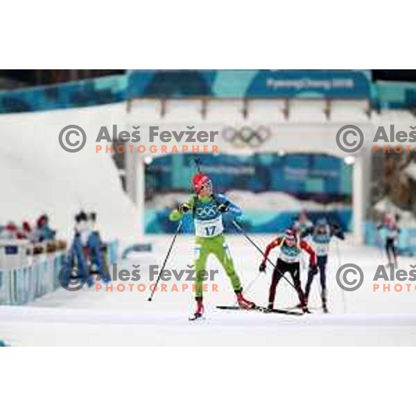 Miha Dovzan (SLO) competes in Men\'s Biathlon 20 km Individual at Alpensia Biathlon Centre during PyeongChang 2018 Winter Olympic Games, South Korea on February 15, 2018