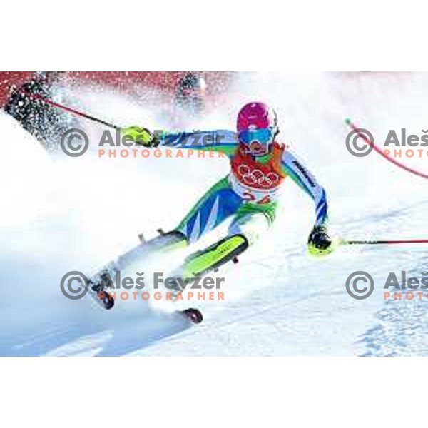 Marusa Ferk (SLO) skiing in the first run of Ladies slalom at Yongpyong Alpine Centre during PyeongChang 2018 Winter Olympic Games, South Korea on February 16, 2018