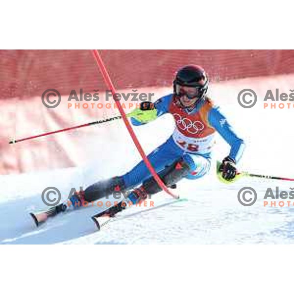 Manuela Moellg (ITA) skiing in the first run of Ladies slalom at Yongpyong Alpine Centre during PyeongChang 2018 Winter Olympic Games, South Korea on February 16, 2018