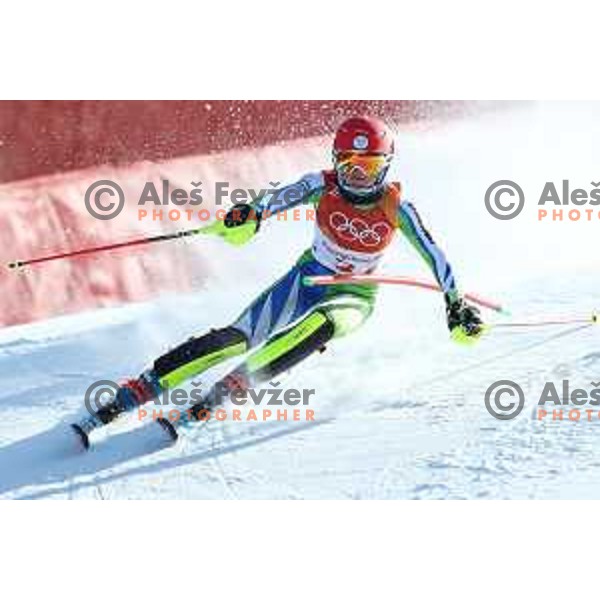 Meta Hrovat (SLO) skiing in the first run of Ladies slalom at Yongpyong Alpine Centre during PyeongChang 2018 Winter Olympic Games, South Korea on February 16, 2018