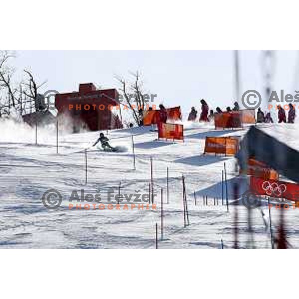 Marusa Ferk (SLO) skiing in the first run of Ladies slalom at Yongpyong Alpine Centre during PyeongChang 2018 Winter Olympic Games, South Korea on February 16, 2018
