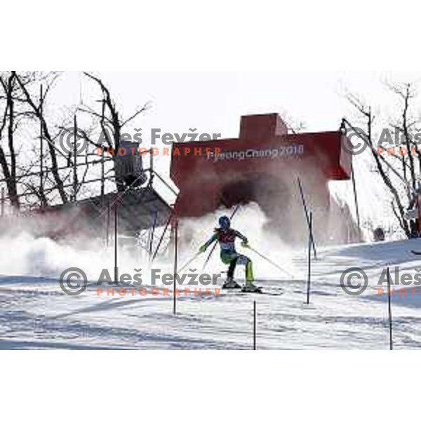 Ana Bucik (SLO) skiing in the first run of Ladies slalom at Yongpyong Alpine Centre during PyeongChang 2018 Winter Olympic Games, South Korea on February 16, 2018