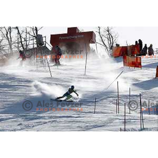 Ana Bucik (SLO) skiing in the first run of Ladies slalom at Yongpyong Alpine Centre during PyeongChang 2018 Winter Olympic Games, South Korea on February 16, 2018