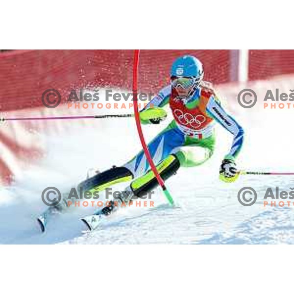 Ana Bucik (SLO) skiing in the first run of Ladies slalom at Yongpyong Alpine Centre during PyeongChang 2018 Winter Olympic Games, South Korea on February 16, 2018