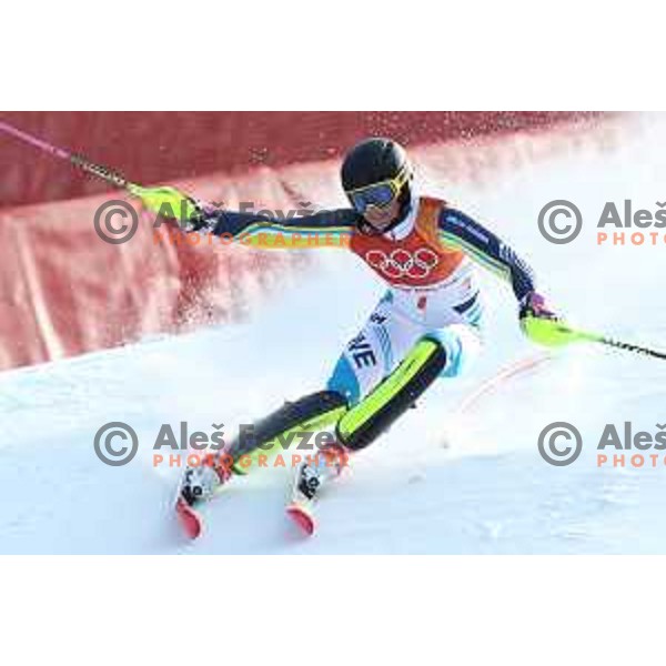 Frida Hansdotter (SWE) skiing in the first run of Ladies slalom at Yongpyong Alpine Centre during PyeongChang 2018 Winter Olympic Games, South Korea on February 16, 2018