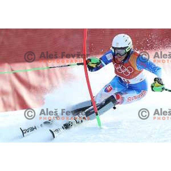 Veronika Velez Zuzulova (SVK) skiing in the first run of Ladies slalom at Yongpyong Alpine Centre during PyeongChang 2018 Winter Olympic Games, South Korea on February 16, 2018