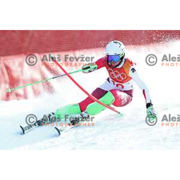 Denise Feierabend (SUI) skiing in the first run of Ladies slalom at Yongpyong Alpine Centre during PyeongChang 2018 Winter Olympic Games, South Korea on February 16, 2018