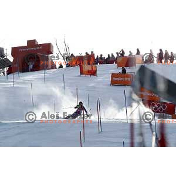 Petra Vlhova (SVK) skiing in the first run of Ladies slalom at Yongpyong Alpine Centre during PyeongChang 2018 Winter Olympic Games, South Korea on February 16, 2018