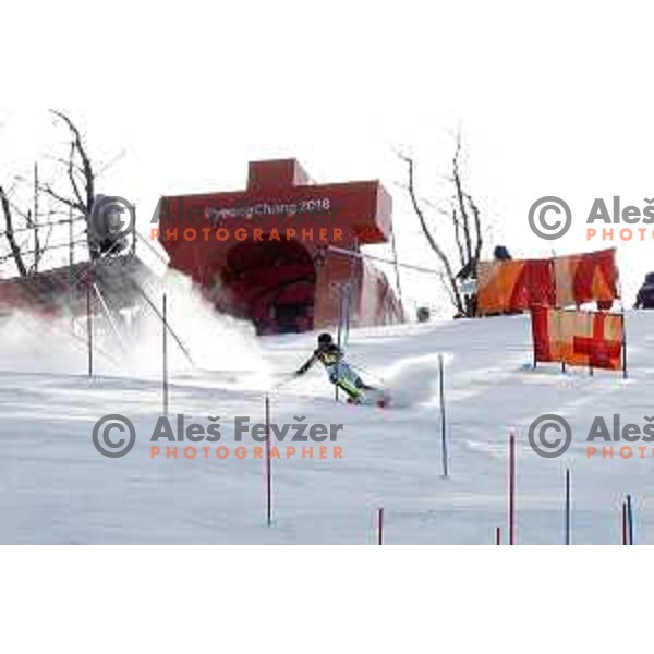 Frida Hansdotter (SWE) skiing in the first run of Ladies slalom at Yongpyong Alpine Centre during PyeongChang 2018 Winter Olympic Games, South Korea on February 16, 2018
