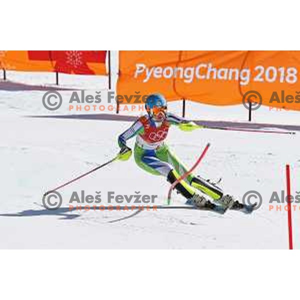 Ana Bucik (SLO) skiing in the secod run of Ladies slalom at Yongpyong Alpine Centre during PyeongChang 2018 Winter Olympic Games, South Korea on February 16, 2018