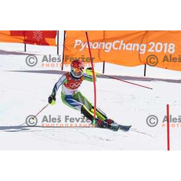 Meta Hrovat (SLO) skiing in the secod run of Ladies slalom at Yongpyong Alpine Centre during PyeongChang 2018 Winter Olympic Games, South Korea on February 16, 2018