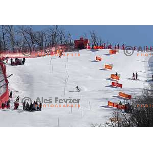 Marusa Ferk (SLO) skiing in the secod run of Ladies slalom at Yongpyong Alpine Centre during PyeongChang 2018 Winter Olympic Games, South Korea on February 16, 2018