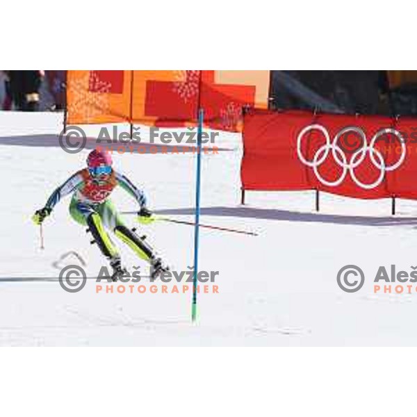 Marusa Ferk (SLO) skiing in the secod run of Ladies slalom at Yongpyong Alpine Centre during PyeongChang 2018 Winter Olympic Games, South Korea on February 16, 2018