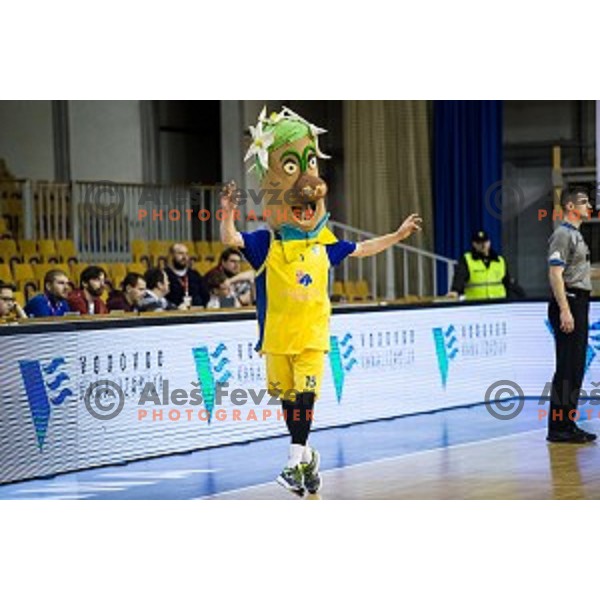 Sencur Mascot in action during Pokal Spar semi final basketball match between Krka and Sencur, Tivoli, Ljubljana, Slovenia on February 16, 2018