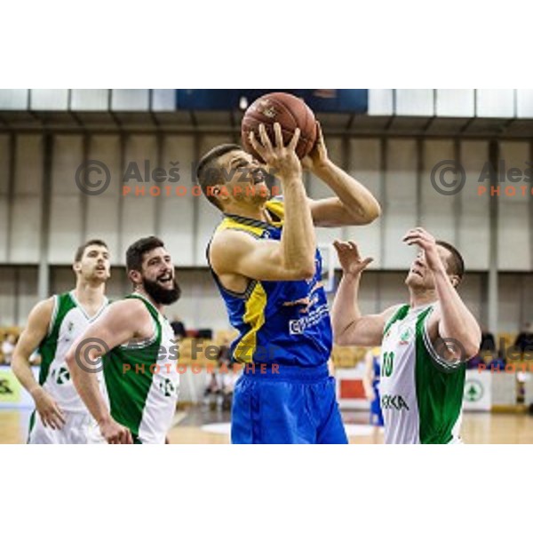 Dino Muric in action during Pokal Spar semi final basketball match between Krka and Sencur, Tivoli, Ljubljana, Slovenia on February 16, 2018
