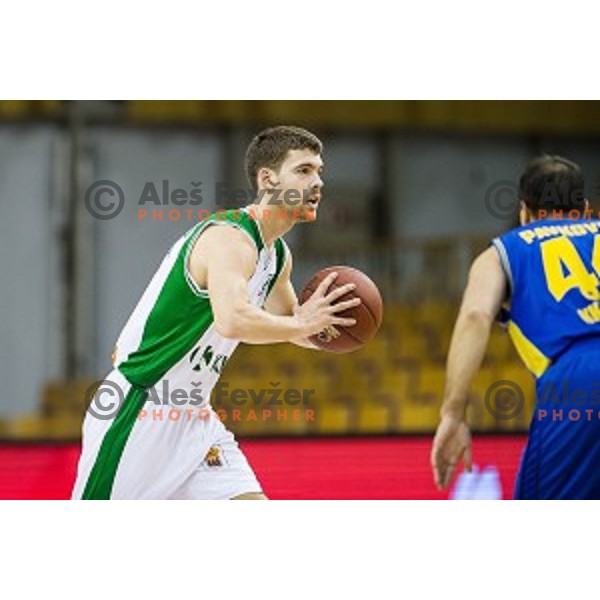Paolo Marinelli in action during Pokal Spar semi final basketball match between Krka and Sencur, Tivoli, Ljubljana, Slovenia on February 16, 2018