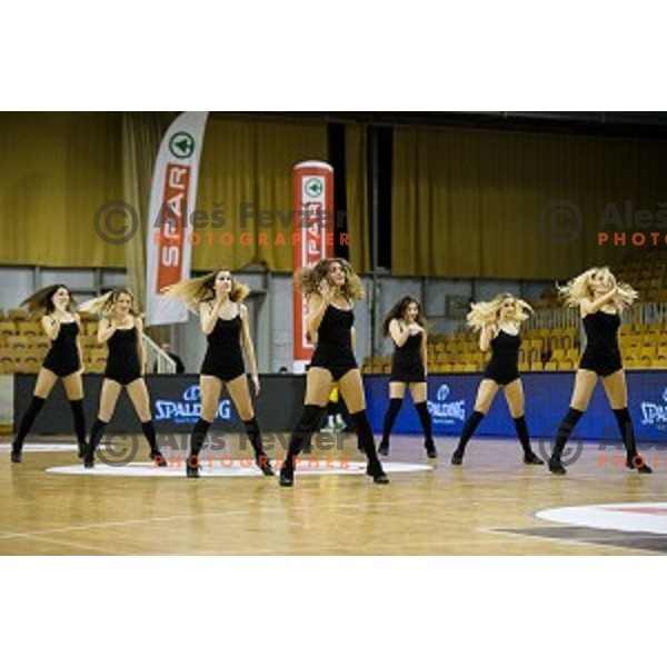 Cheerleaders in action during Pokal Spar semi final basketball match between Krka and Sencur, Tivoli, Ljubljana, Slovenia on February 16, 2018