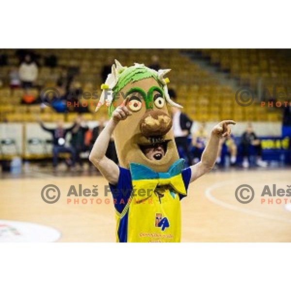 Sencur mascot in action during Pokal Spar semi final basketball match between Krka and Sencur, Tivoli, Ljubljana, Slovenia on February 16, 2018