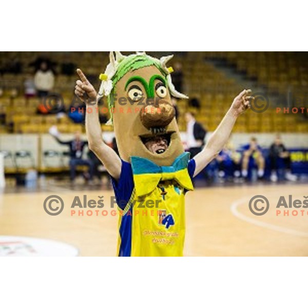 Sencur mascot in action during Pokal Spar semi final basketball match between Krka and Sencur, Tivoli, Ljubljana, Slovenia on February 16, 2018