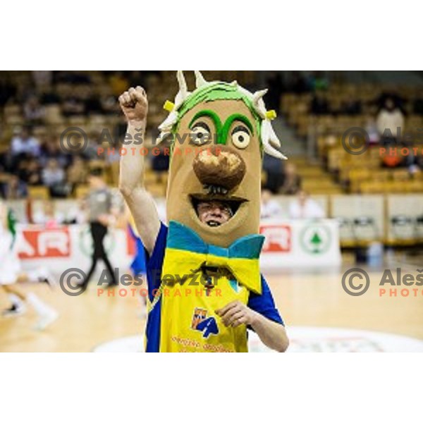 Sencur mascot in action during Pokal Spar semi final basketball match between Krka and Sencur, Tivoli, Ljubljana, Slovenia on February 16, 2018