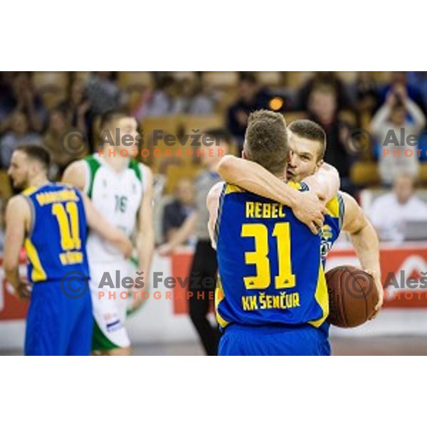 Jan Rebec, Dino Muric in action during Pokal Spar semi final basketball match between Krka and Sencur, Tivoli, Ljubljana, Slovenia on February 16, 2018