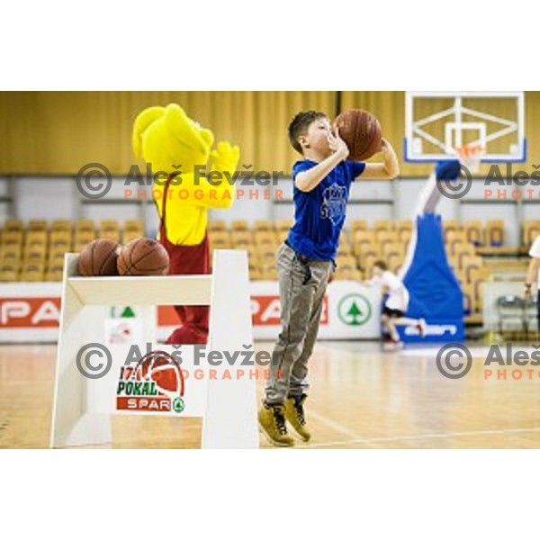 Pokal Spar semi final basketball match between Krka and Sencur, Tivoli, Ljubljana, Slovenia on February 16, 2018