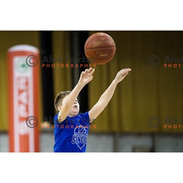 Pokal Spar semi final basketball match between Krka and Sencur, Tivoli, Ljubljana, Slovenia on February 16, 2018