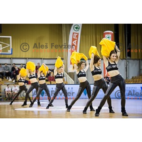 Cheerleaders in action during Pokal Spar semi final basketball match between Sixt Primorska and Petrol Olimpija, Tivoli, Ljubljana, Slovenia on February 16, 2018