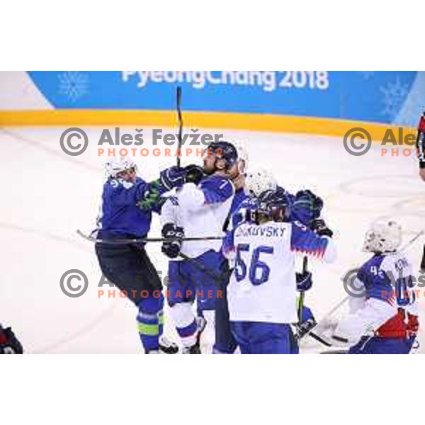 Olympic ice hockey tournament match between Slovakia and Slovenia during PyeongChang 2018 Winter Olympic Games, South Korea on February 17, 2018