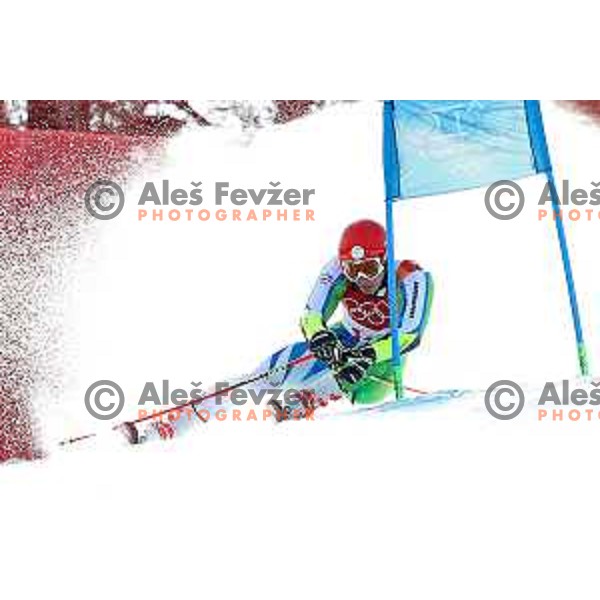 Zan Kranjec (SLO) skiing in the first run of Men\'s Giant Slalom at Yongpyong Alpine Centre during PyeongChang 2018 Winter Olympic Games, South Korea on February 18, 2018