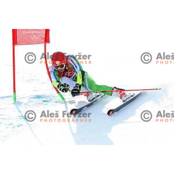 Zan Kranjec (SLO) skiing in the first run of Men\'s Giant Slalom at Yongpyong Alpine Centre during PyeongChang 2018 Winter Olympic Games, South Korea on February 18, 2018