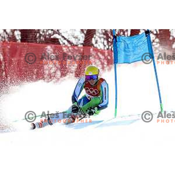 Stefan Hadalin (SLO) skiing in the first run of Men\'s Giant Slalom at Yongpyong Alpine Centre during PyeongChang 2018 Winter Olympic Games, South Korea on February 18, 2018