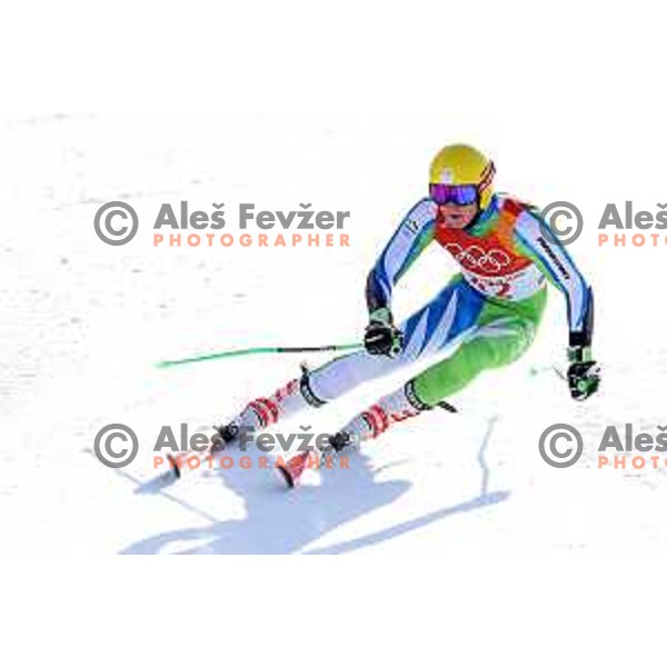 Stefan Hadalin (SLO) skiing in the first run of Men\'s Giant Slalom at Yongpyong Alpine Centre during PyeongChang 2018 Winter Olympic Games, South Korea on February 18, 2018