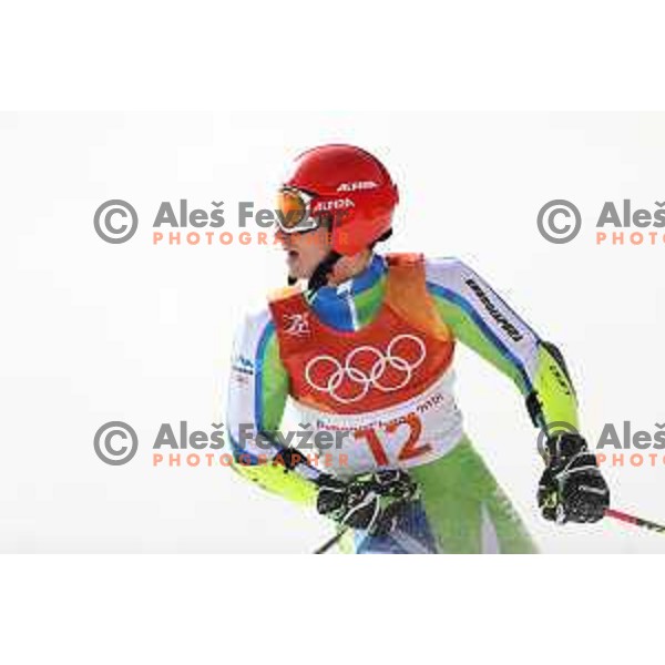 Zan Kranjec (SLO) skiing in the second run of Men\'s Giant Slalom at Yongpyong Alpine Centre during PyeongChang 2018 Winter Olympic Games, South Korea on February 18, 2018
