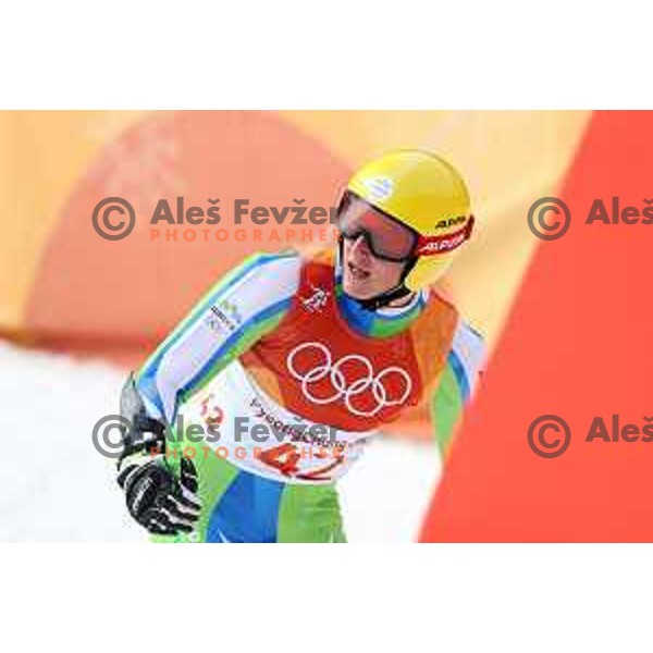 Stefan Hadalin (SLO) skiing in the second run of Men\'s Giant Slalom at Yongpyong Alpine Centre during PyeongChang 2018 Winter Olympic Games, South Korea on February 18, 2018
