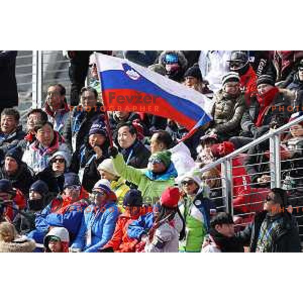 Borut Pahor waves Slovenian flag at Men\'s Giant Slalom at Yongpyong Alpine Centre during PyeongChang 2018 Winter Olympic Games, South Korea on February 18, 2018