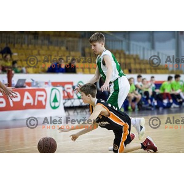 Mini Pokal Spar 3rd place match basketball match between Krka and Ljubljana, Tivoli, Ljubljana, Slovenia on February 18, 2018
