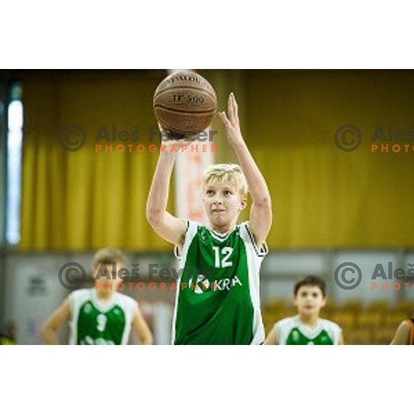 Mini Pokal Spar 3rd place match basketball match between Krka and Ljubljana, Tivoli, Ljubljana, Slovenia on February 18, 2018
