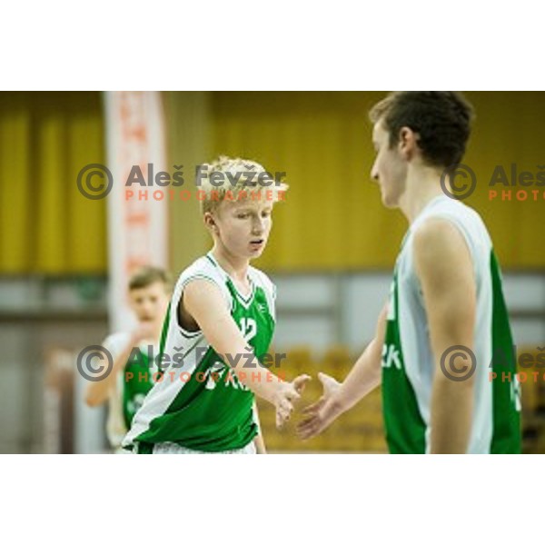 Mini Pokal Spar 3rd place match basketball match between Krka and Ljubljana, Tivoli, Ljubljana, Slovenia on February 18, 2018