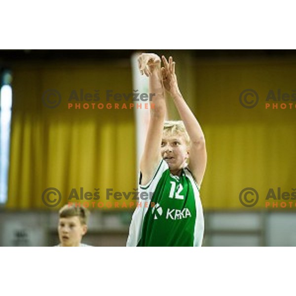 Mini Pokal Spar 3rd place match basketball match between Krka and Ljubljana, Tivoli, Ljubljana, Slovenia on February 18, 2018