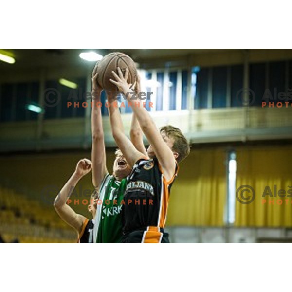 Mini Pokal Spar 3rd place match basketball match between Krka and Ljubljana, Tivoli, Ljubljana, Slovenia on February 18, 2018