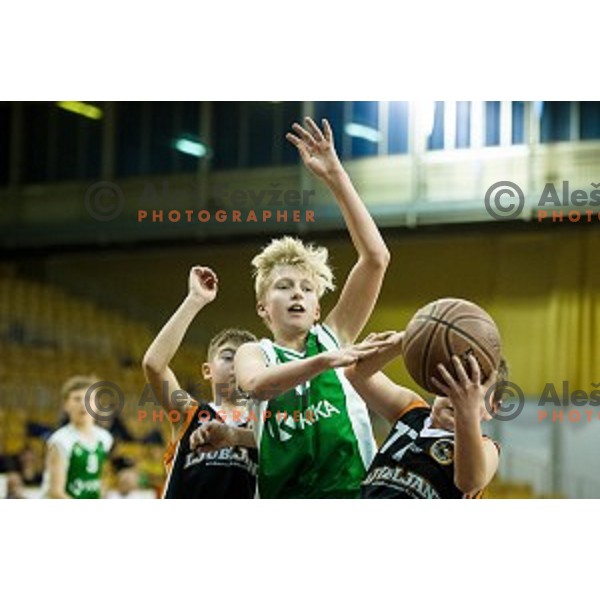 Mini Pokal Spar 3rd place match basketball match between Krka and Ljubljana, Tivoli, Ljubljana, Slovenia on February 18, 2018