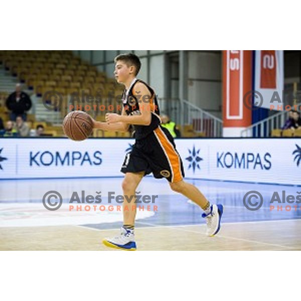 Mini Pokal Spar 3rd place match basketball match between Krka and Ljubljana, Tivoli, Ljubljana, Slovenia on February 18, 2018