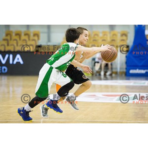 Mini Pokal Spar 3rd place match basketball match between Krka and Ljubljana, Tivoli, Ljubljana, Slovenia on February 18, 2018