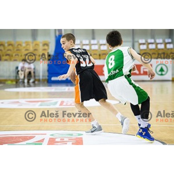 Mini Pokal Spar 3rd place match basketball match between Krka and Ljubljana, Tivoli, Ljubljana, Slovenia on February 18, 2018