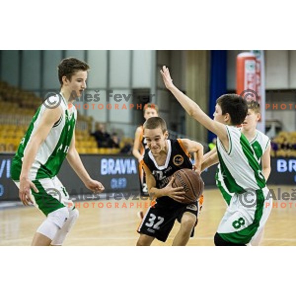 Mini Pokal Spar 3rd place match basketball match between Krka and Ljubljana, Tivoli, Ljubljana, Slovenia on February 18, 2018