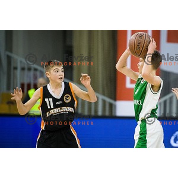 Mini Pokal Spar 3rd place match basketball match between Krka and Ljubljana, Tivoli, Ljubljana, Slovenia on February 18, 2018