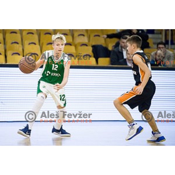 Mini Pokal Spar 3rd place match basketball match between Krka and Ljubljana, Tivoli, Ljubljana, Slovenia on February 18, 2018